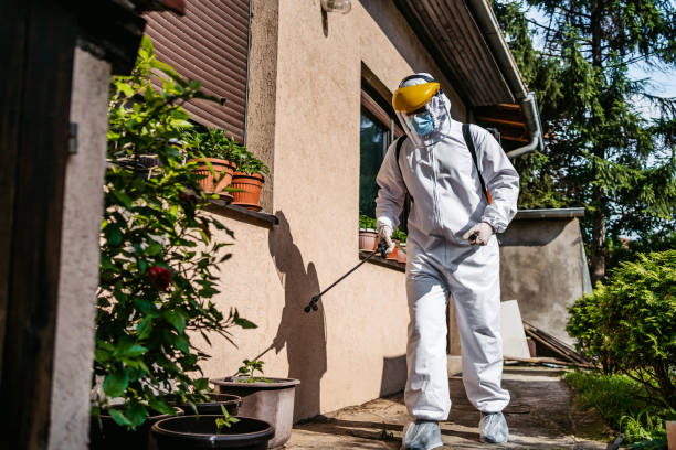 Best Pest Removal Services  in Ttapoisett Center, MA
