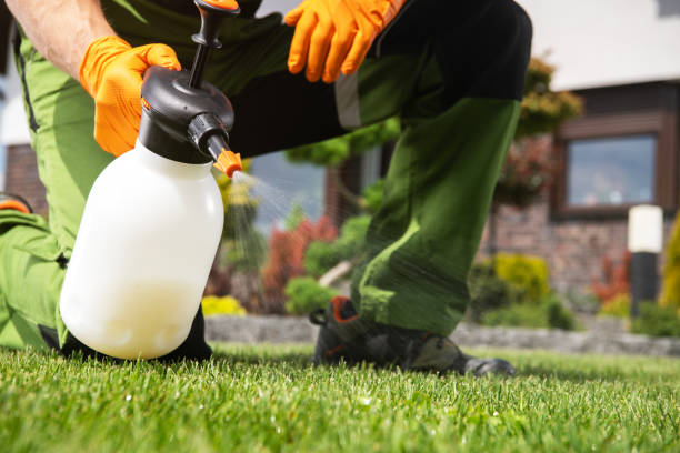 Best Local Pest Control Services  in Ttapoisett Center, MA