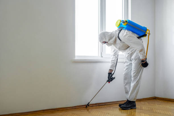 Best Pest Control Near Me  in Ttapoisett Center, MA