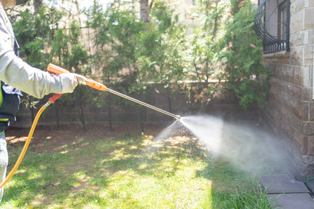 Best Affordable Pest Control Services  in Ttapoisett Center, MA