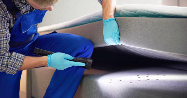 Best Residential Pest Control  in Ttapoisett Center, MA