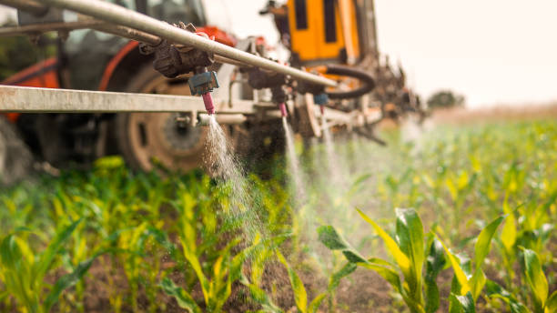 Best Mosquito Control Services  in Ttapoisett Center, MA